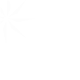 four star charity navigator